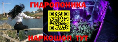 стафф Заводоуковск