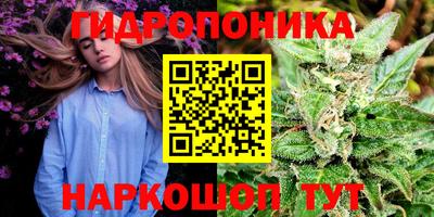 spice Заволжье