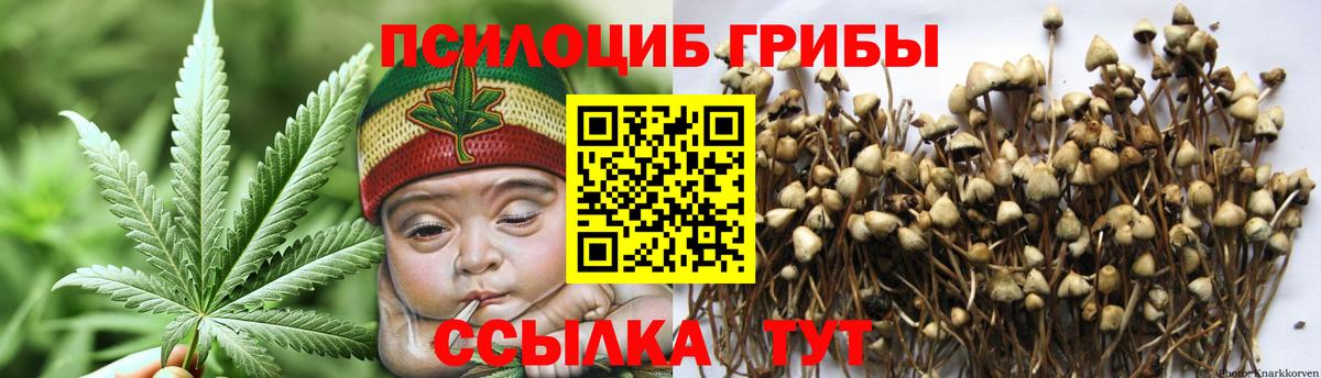 Псилоцибиновые грибы прущие грибы  Вход с VPN  Фрязино 