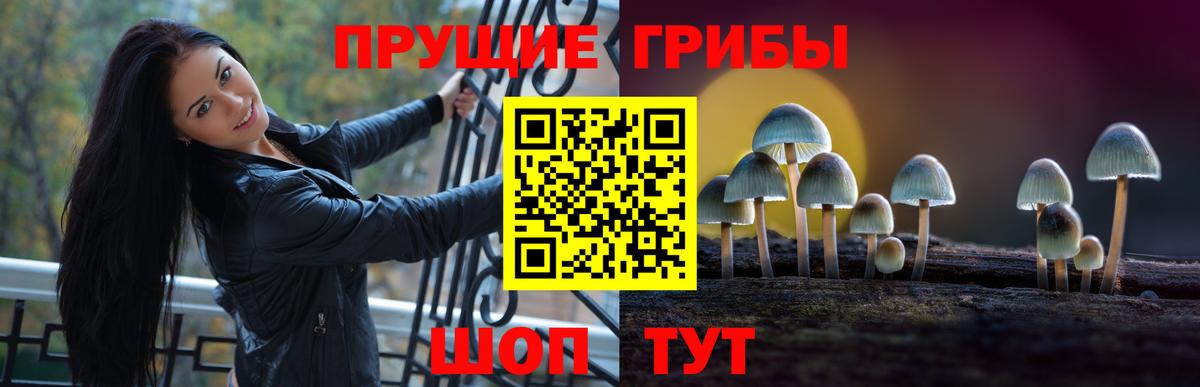 Псилоцибиновые грибы GOLDEN TEACHER Фрязино